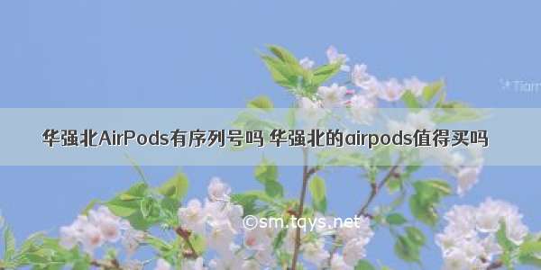 华强北AirPods有序列号吗 华强北的airpods值得买吗