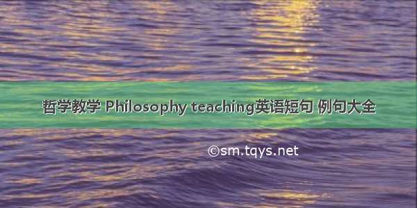 哲学教学 Philosophy teaching英语短句 例句大全