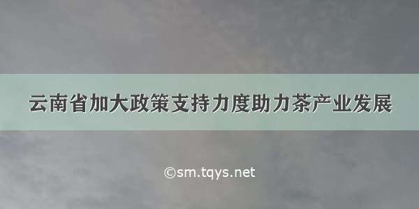 云南省加大政策支持力度助力茶产业发展