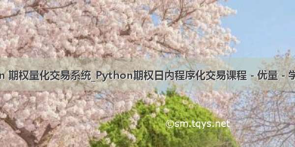 python 期权量化交易系统_Python期权日内程序化交易课程 - 优量 - 学量化投