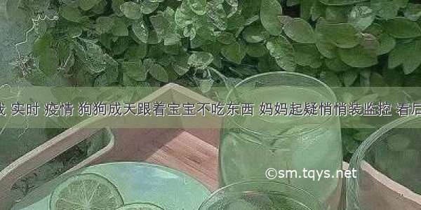 刷新 翻看 我 实时 疫情 狗狗成天跟着宝宝不吃东西 妈妈起疑悄悄装监控 看后顿时不淡定