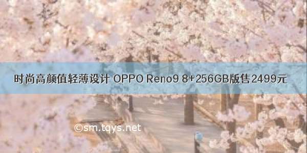 时尚高颜值轻薄设计 OPPO Reno9 8+256GB版售2499元