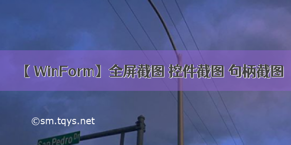 【 WinForm】全屏截图 控件截图 句柄截图