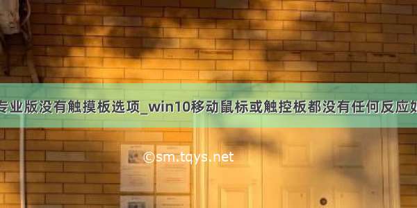 win10专业版没有触摸板选项_win10移动鼠标或触控板都没有任何反应如何解决