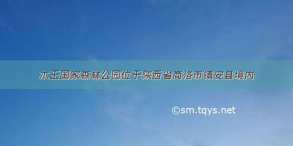 木王国家森林公园位于陕西省商洛市镇安县境内