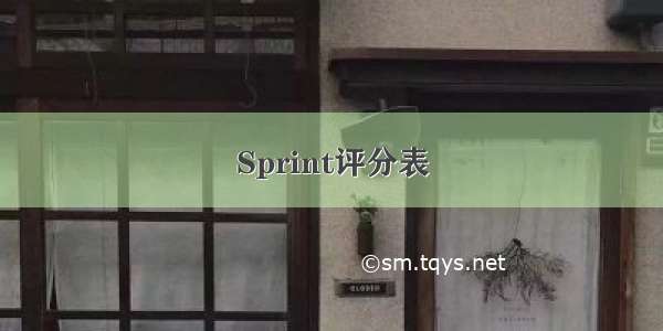 Sprint评分表