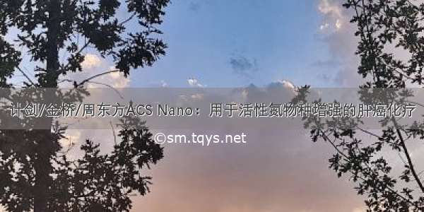 计剑/金桥/周东方ACS Nano：用于活性氮物种增强的肝癌化疗