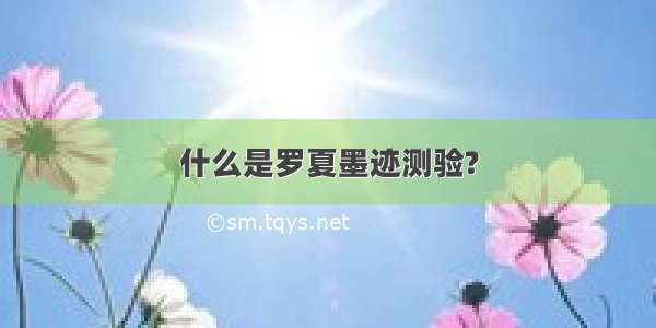 什么是罗夏墨迹测验?