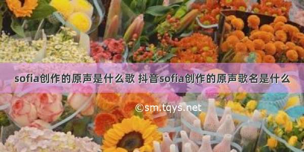 sofia创作的原声是什么歌 抖音sofia创作的原声歌名是什么