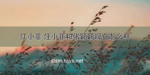 江小菲 汪小菲和张颖颖现在怎么样