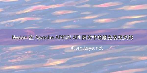 Nacos 在 Apache APISIX API 网关中的服务发现实践