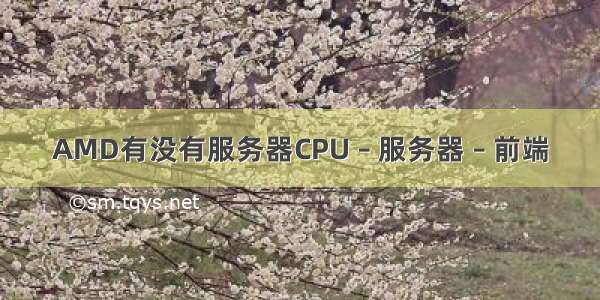 AMD有没有服务器CPU – 服务器 – 前端