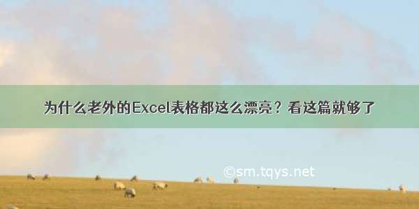 为什么老外的Excel表格都这么漂亮？看这篇就够了