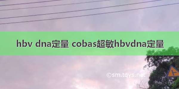 hbv dna定量 cobas超敏hbvdna定量