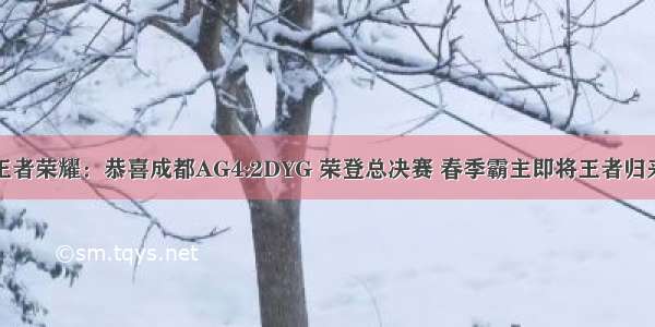 王者荣耀：恭喜成都AG4:2DYG 荣登总决赛 春季霸主即将王者归来