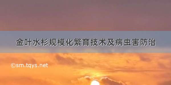 金叶水杉规模化繁育技术及病虫害防治