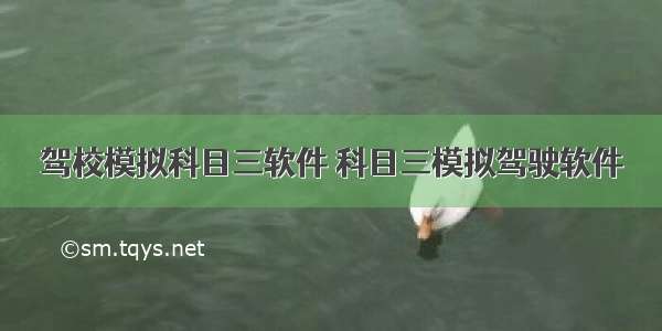 驾校模拟科目三软件 科目三模拟驾驶软件