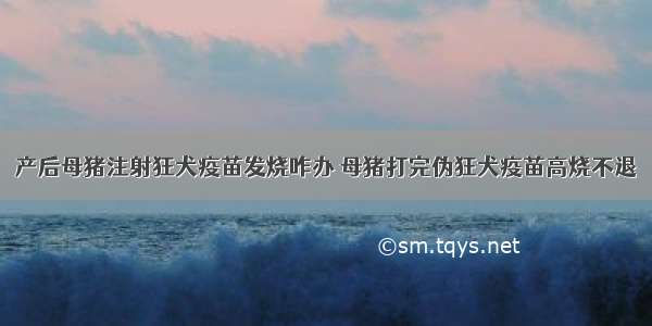 产后母猪注射狂犬疫苗发烧咋办 母猪打完伪狂犬疫苗高烧不退