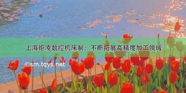 上海钜凌数控机床制：不断拓展高精度加工领域