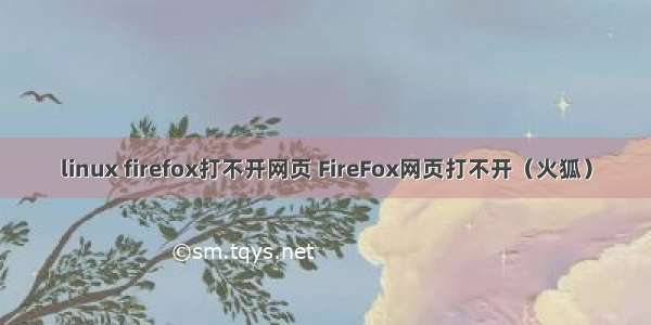 linux firefox打不开网页 FireFox网页打不开（火狐）