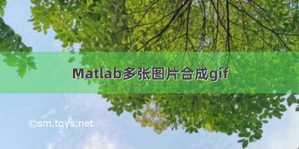 Matlab多张图片合成gif