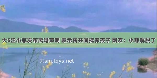 大S汪小菲发布离婚声明 表示将共同抚养孩子 网友：小菲解脱了