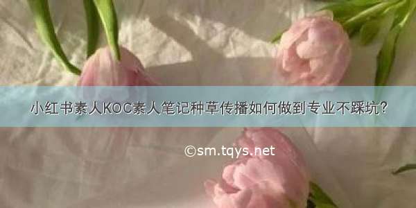 小红书素人KOC素人笔记种草传播如何做到专业不踩坑？