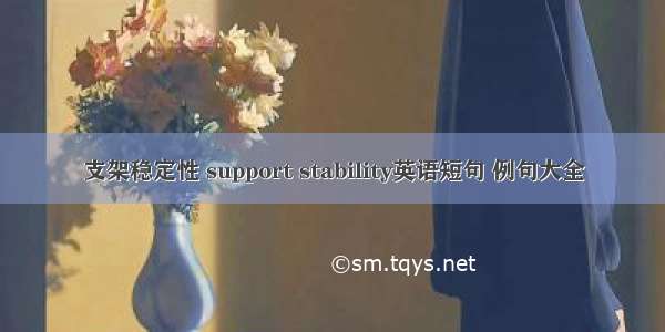 支架稳定性 support stability英语短句 例句大全