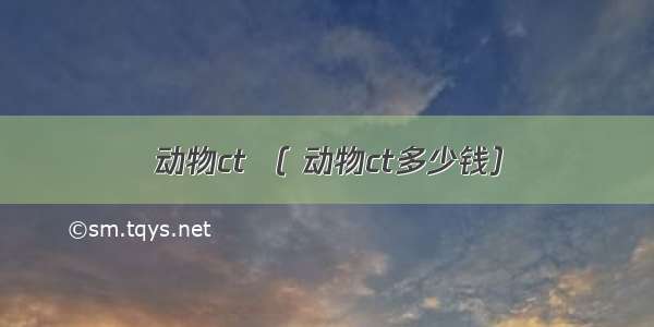 动物ct （ 动物ct多少钱）