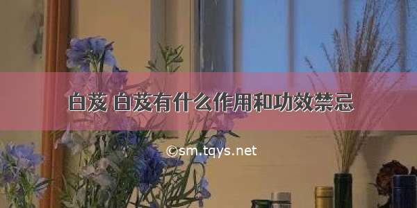 白芨 白芨有什么作用和功效禁忌