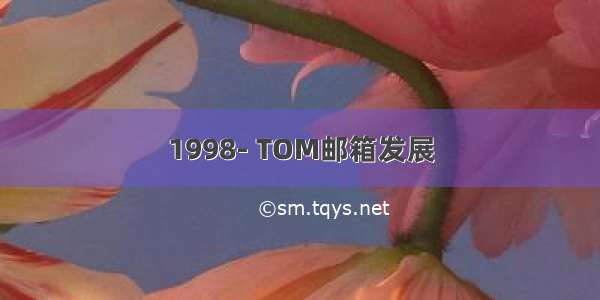 1998- TOM邮箱发展