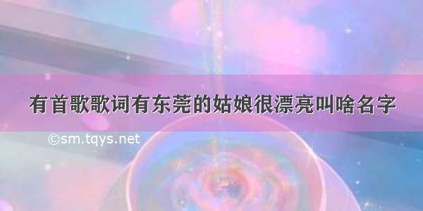 有首歌歌词有东莞的姑娘很漂亮叫啥名字