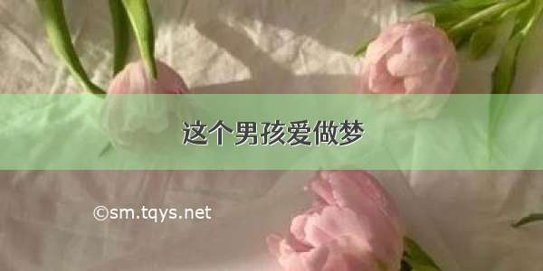 这个男孩爱做梦