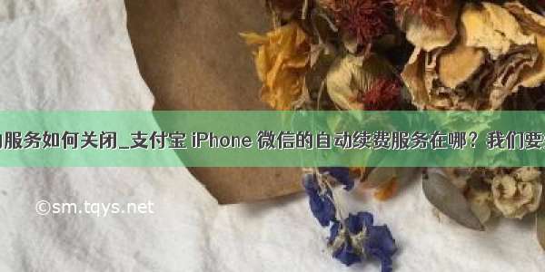 eureka 之前的服务如何关闭_支付宝 iPhone 微信的自动续费服务在哪？我们要如何关闭？...