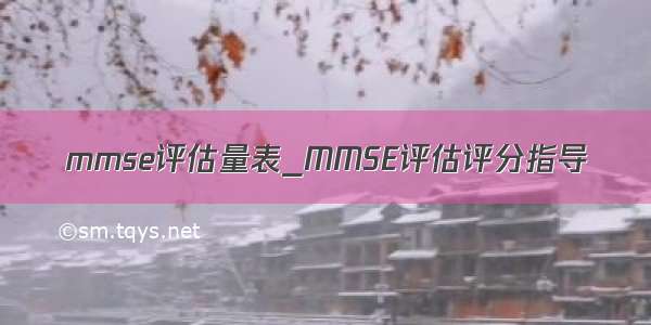 mmse评估量表_MMSE评估评分指导