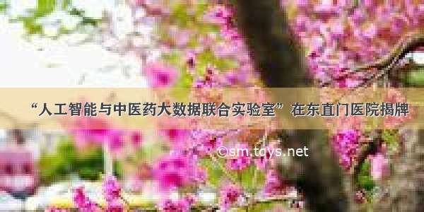 “人工智能与中医药大数据联合实验室”在东直门医院揭牌