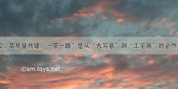 王毅：高质量共建“一带一路”是从“大写意”到“工笔画”的必然选择