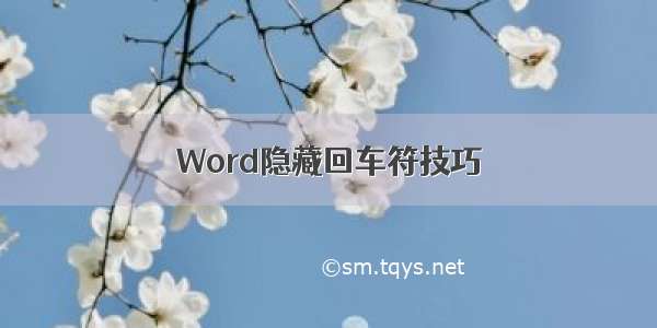 Word隐藏回车符技巧