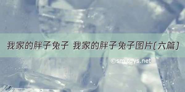 我家的胖子兔子 我家的胖子兔子图片(六篇)