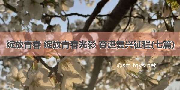 绽放青春 绽放青春光彩 奋进复兴征程(七篇)