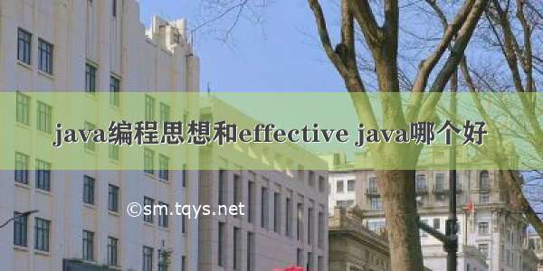 java编程思想和effective java哪个好