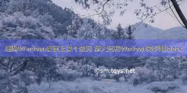 删除W ndows桌面上某个应用 浙大远程Wndows知识题.docx