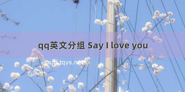 qq英文分组 Say I love you