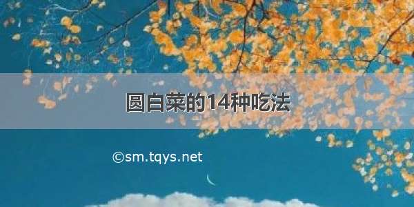 圆白菜的14种吃法