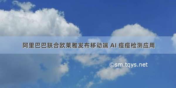 阿里巴巴联合欧莱雅发布移动端 AI 痘痘检测应用