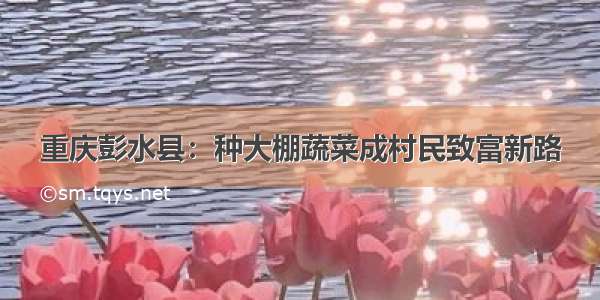 重庆彭水县：种大棚蔬菜成村民致富新路