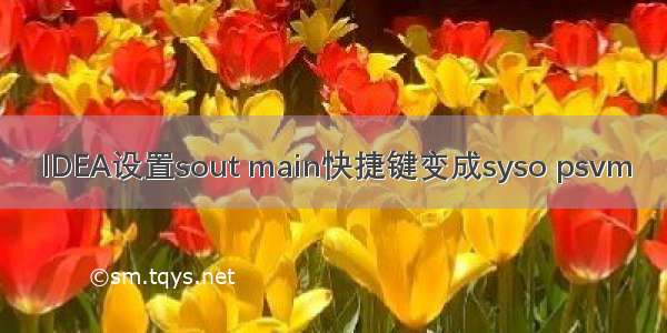 IDEA设置sout main快捷键变成syso psvm