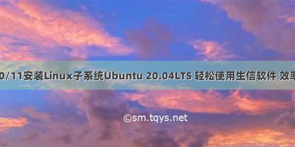 Windows10/11安装Linux子系统Ubuntu 20.04LTS 轻松使用生信软件 效率秒杀虚拟机