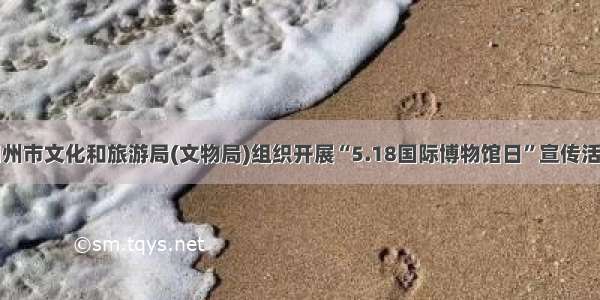 朔州市文化和旅游局(文物局)组织开展“5.18国际博物馆日”宣传活动