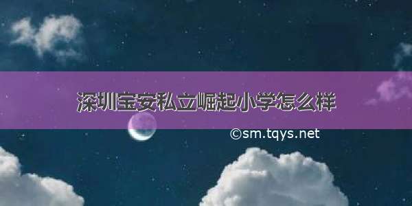 深圳宝安私立崛起小学怎么样